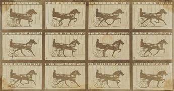 EADWEARD MUYBRIDGE (1830-1904) The Horse in Motion (composite).